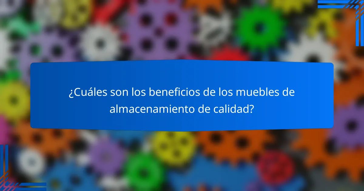 ¿Cuáles son los beneficios de los muebles de almacenamiento de calidad?