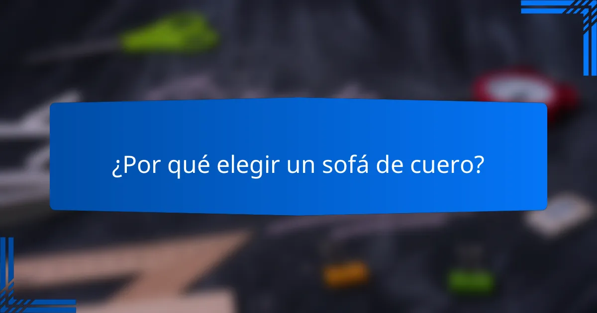 ¿Por qué elegir un sofá de cuero?